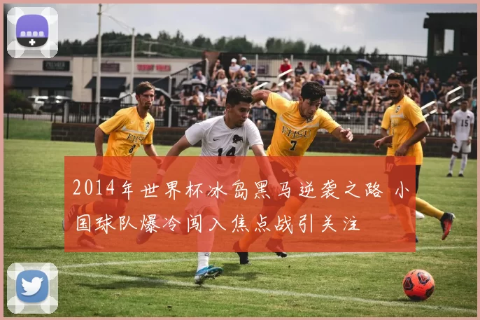 2014年世界杯冰岛黑马逆袭之路 小国球队爆冷闯入焦点战引关注