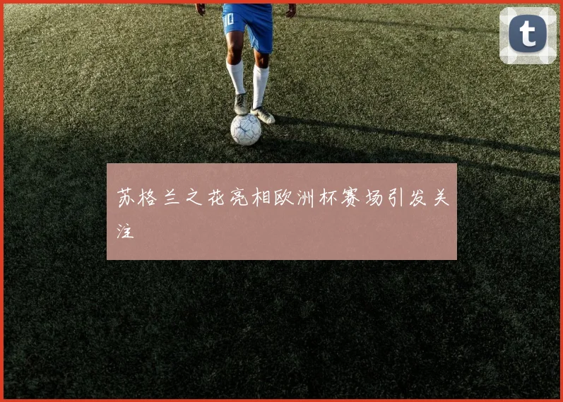苏格兰之花亮相欧洲杯赛场引发关注
