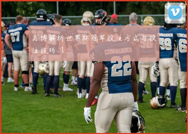 万博解析世界杯冠军投注方式与投注技巧_1