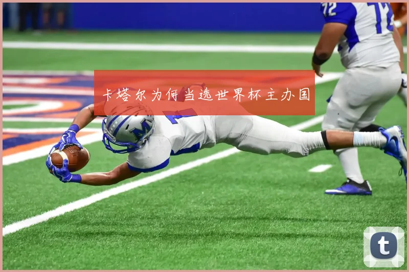 卡塔尔为何当选世界杯主办国